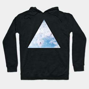 Flight Path Hoodie